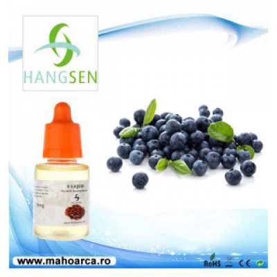 Hangsen - Blueberry 30ml